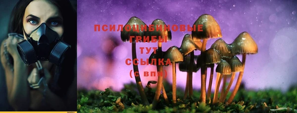 синтетический гашиш Козельск