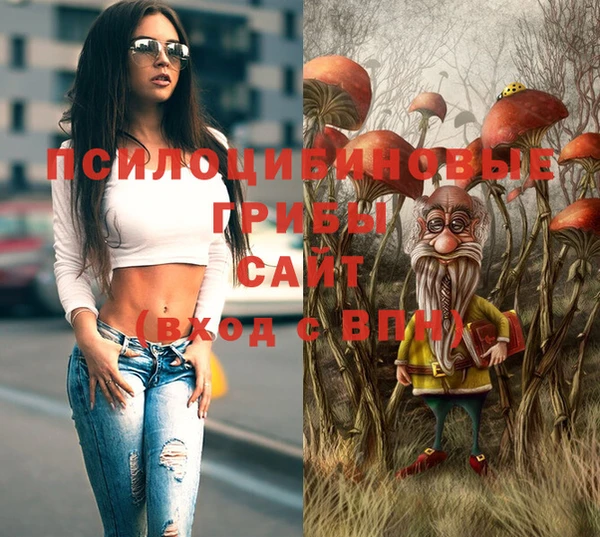 синтетический гашиш Козельск