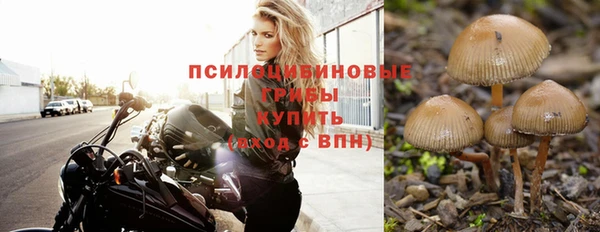 не бодяженный Козловка