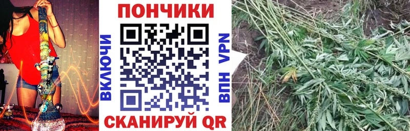 Купить  Арсеньев  Бошки Шишки SATIVA & INDICA 